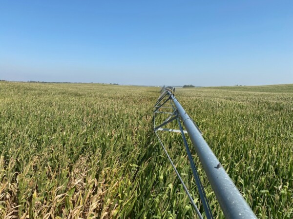 Featured image for the ****PRICE REDUCED**** Platte County Land For Sale 115 +/- Acres auction.